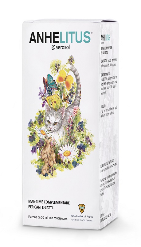 ANHELITUS AEROSOL 50 ML