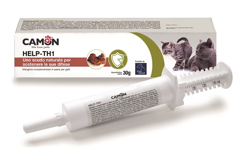 HELP-TH1 PASTA SIRINGA 30 G