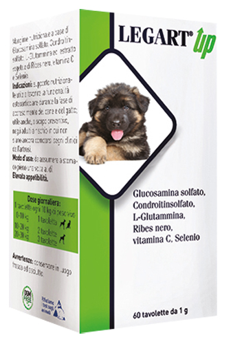 Legart Up Integratore per Articolazioni di Cani e Gatti 60 Compresse