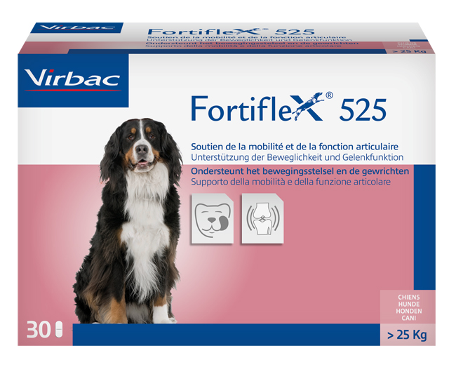 FORTIFLEX 525*30 CPR