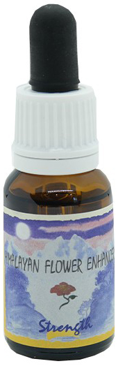 STRENGTH ESSENZA 15ML