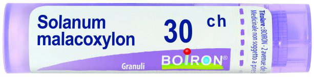SOLANUM MALACOXYLON 30CH GRANULI
