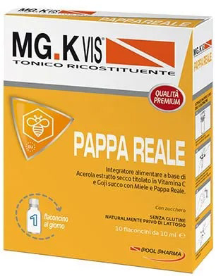 FRUVIS FORTE PAPPA REALE 10 FLACONCINI 10 ML