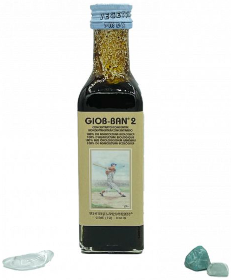 GIOB BAN 2 ART ESTR CONC 100ML