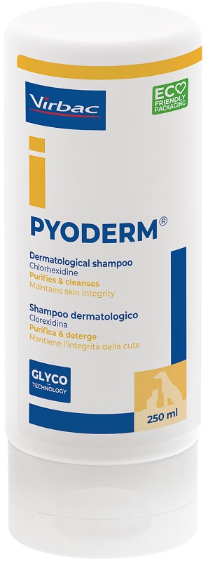 PYODERM SHAMPOO 250ML