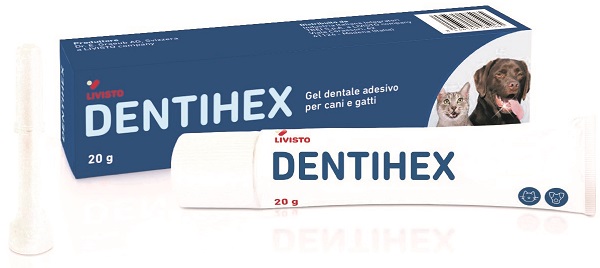DENTIHEX GEL DENTALE ADES C/G