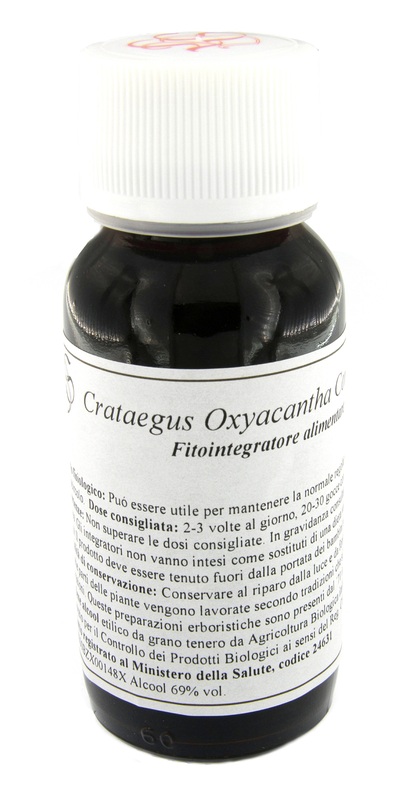 LVS 17S CRATAEGUS OXYACANTHA COMPOSITUM