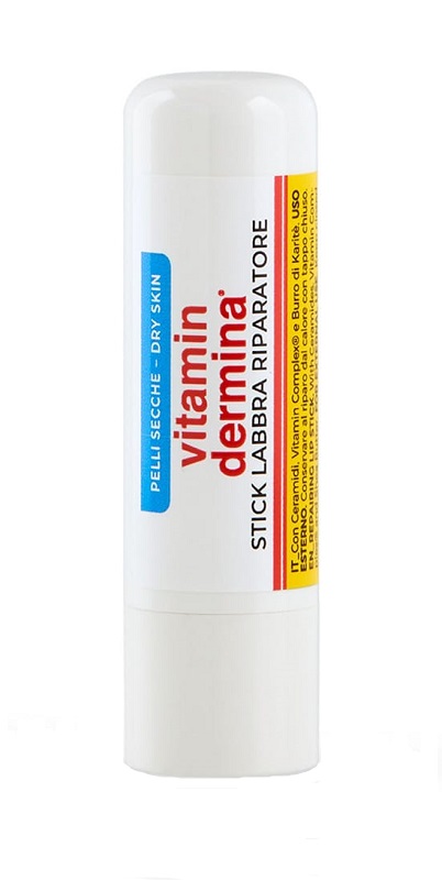 VITAMINDERMINA STICK LAB 4,5ML